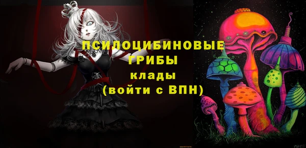 метадон Белокуриха