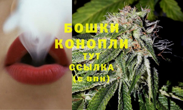 ALPHA PVP Снежинск