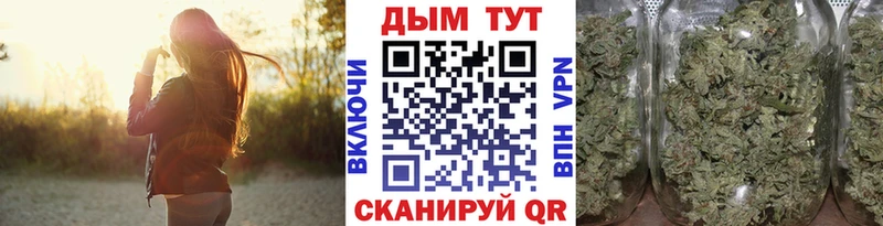 дарнет шоп  Дигора  Бошки Шишки гибрид 